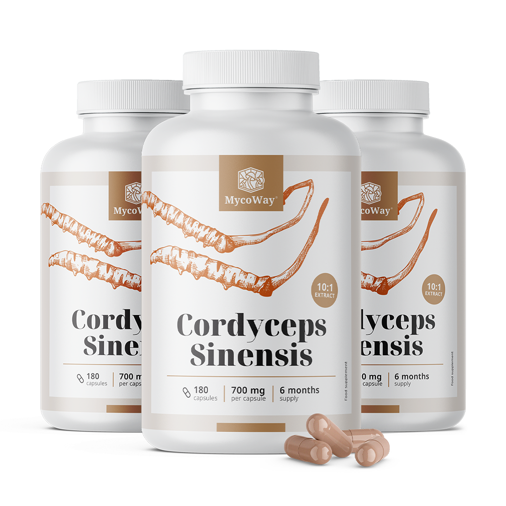 Cordyceps sinensis 1400 mg - extract 10:1