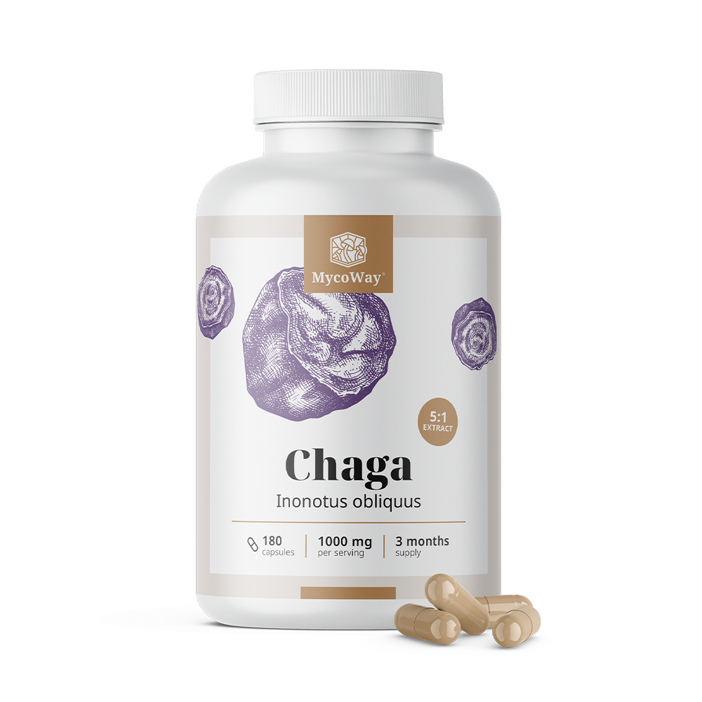 Chaga 1000 mg – extract 5:1