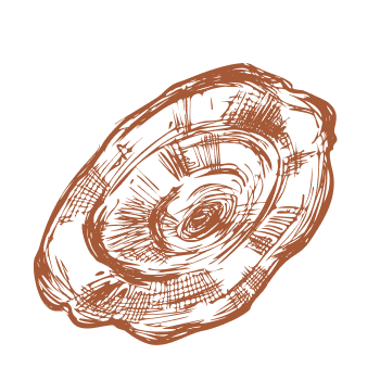 Zet een stap naar vitaliteit en kracht