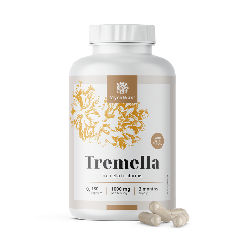 Snow Fungus (Tremella) 1000 mg – extract