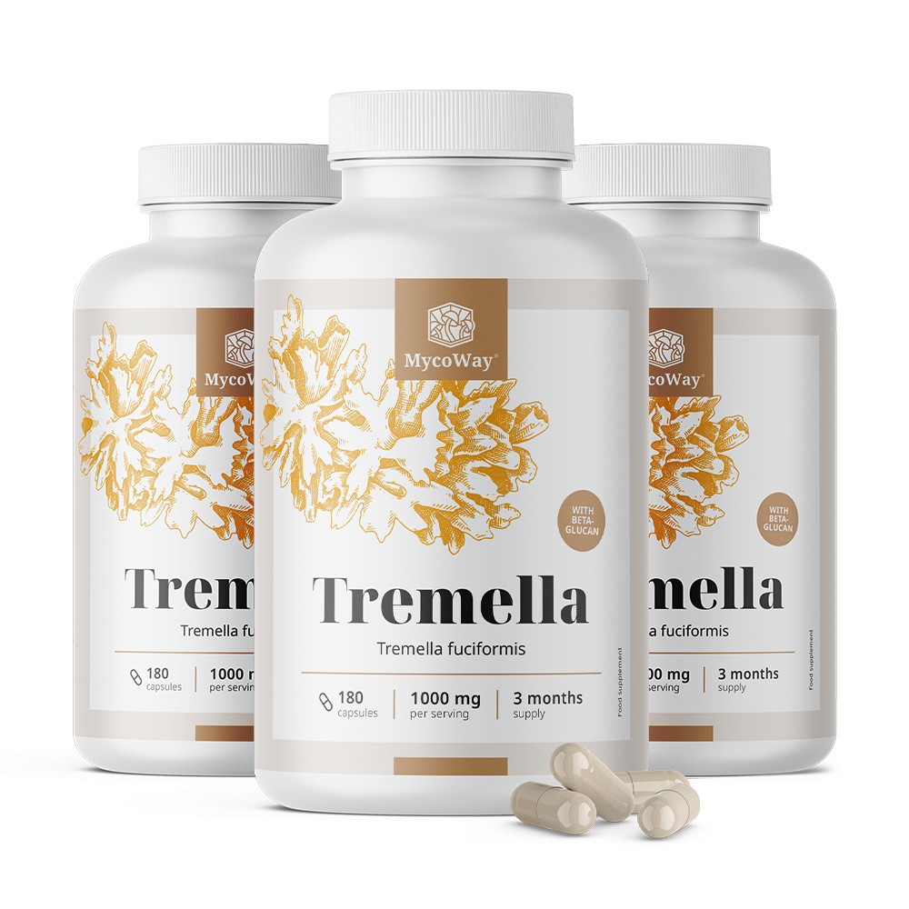 Snow Fungus (Tremella) 1000 mg – extract