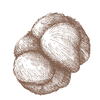 Verhoog je mentale scherpte.