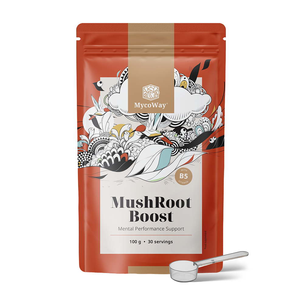 MushRoot Boost – drank voor mentale prestaties