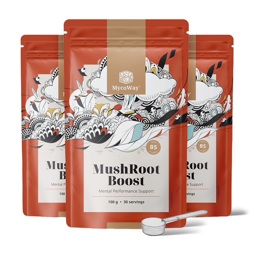 MushRoot Boost – drank voor mentale prestaties