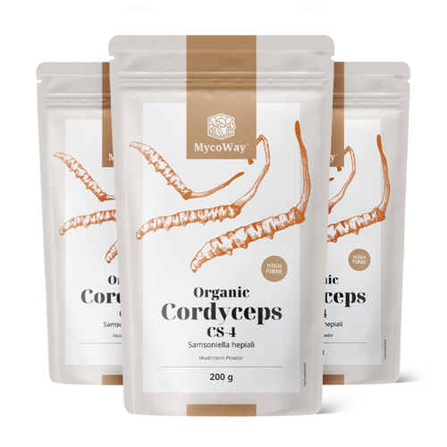 3x BIO Cordyceps CS-4 in poedervorm, totaal 600 g