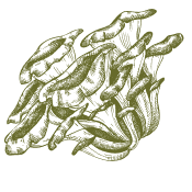 Zorg voor je lichaam met de geschenken die de natuur biedt