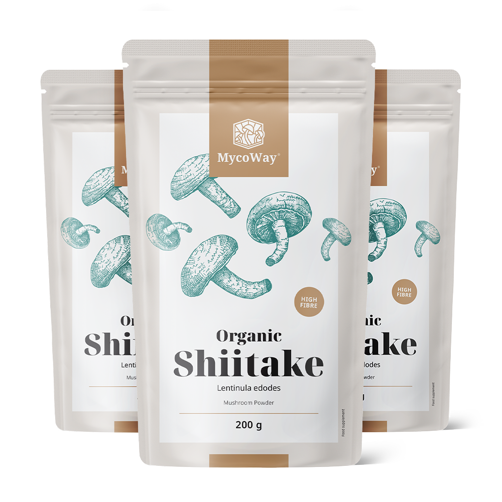 BIO Shiitake poeder