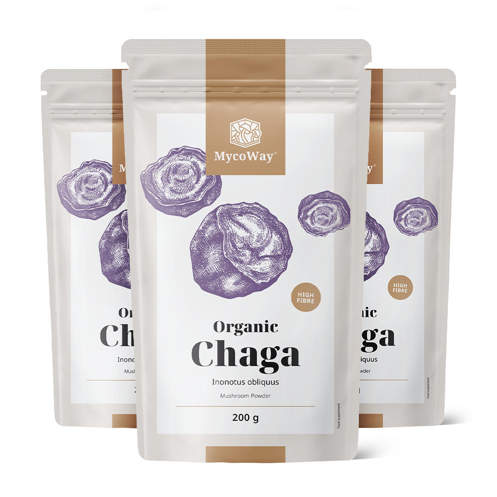 BIO Chaga in poeder
