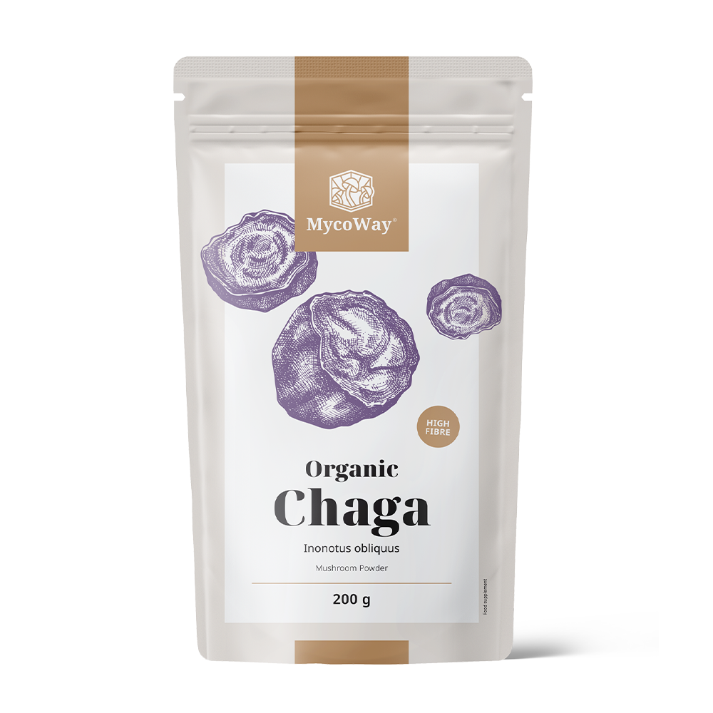 BIO Chaga in poeder