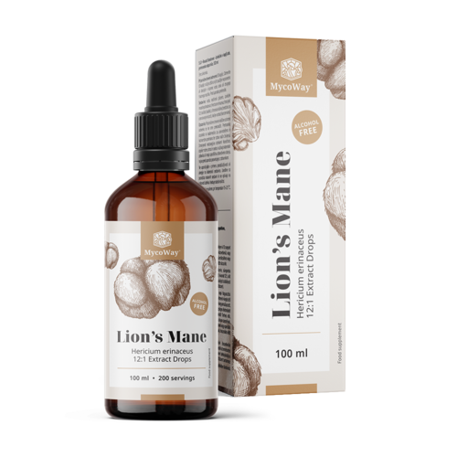 Lion's Mane – Extract in druppels, 100 ml