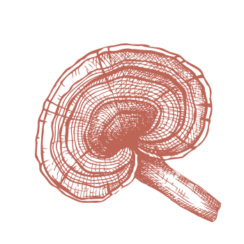 Terug naar de traditie