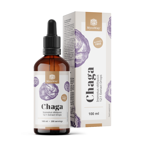 Chaga – Extract in druppels, 100 ml