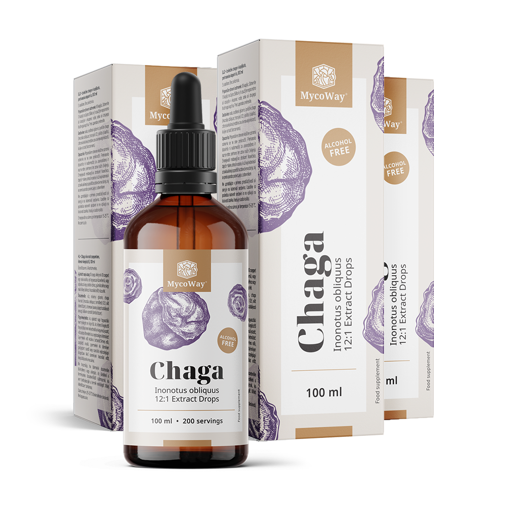Chaga – Extract in druppels