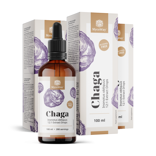 3x Chaga – Extract in druppels, totaal 300 ml