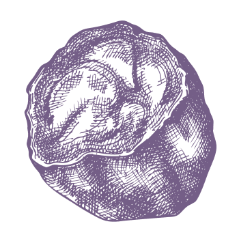 Een simpele manier om natuurlijke energie te behouden