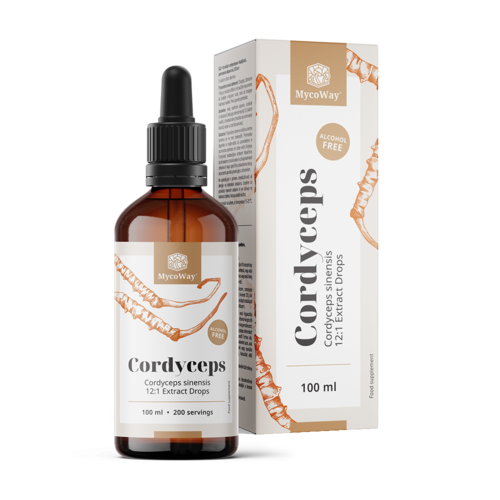 Cordyceps – extract in druppels, 100 ml